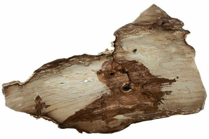 Polished Jasper Slab - Unknown Location #185087